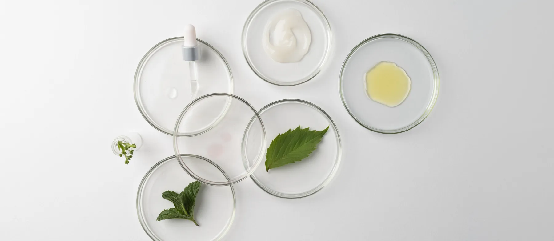 Cosmetic samples in petri dishes